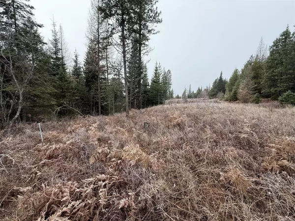 Troy, MT 59935,15A Shoshone TRL