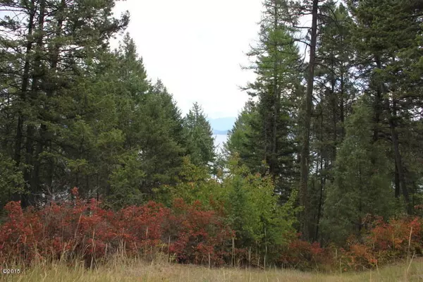 Lakeside, MT 59922,6905 Us Highway 93 S