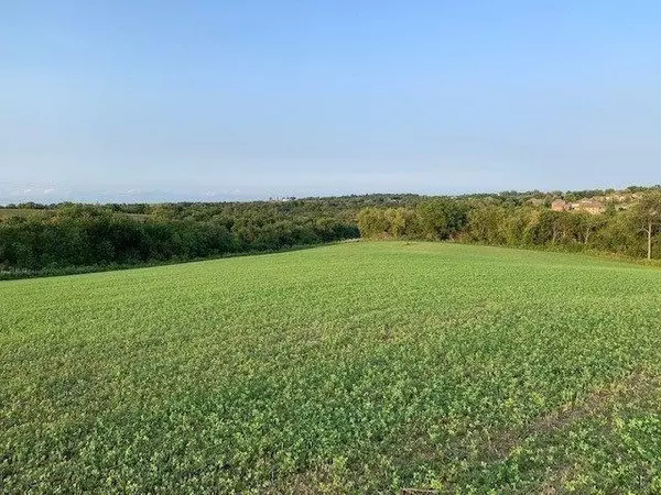 Dubuque, IA 52002,Lot 8 Hales Mill CT