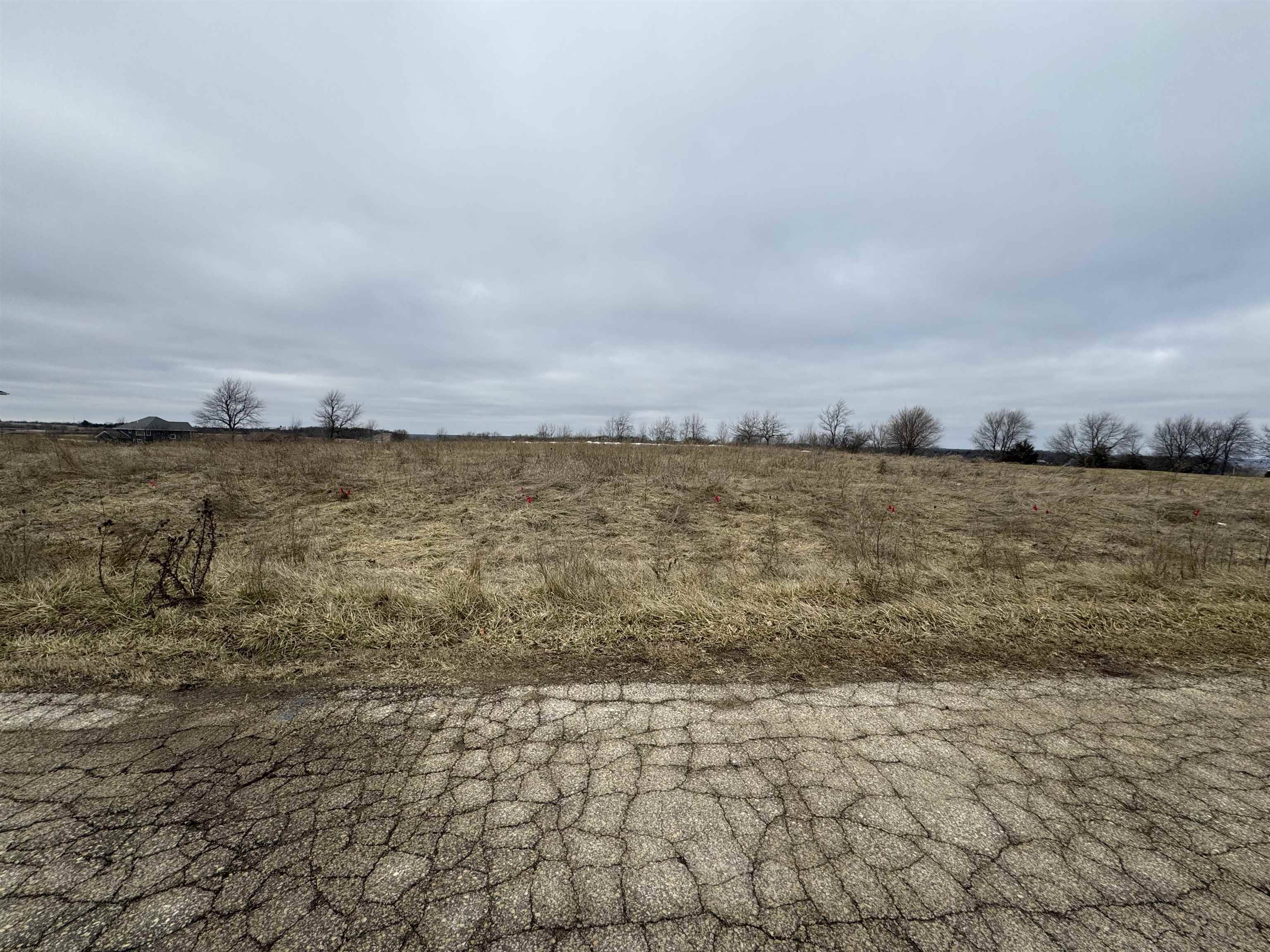 Lot 19 Tuscany Ridge DR, Asbury, IA 52002