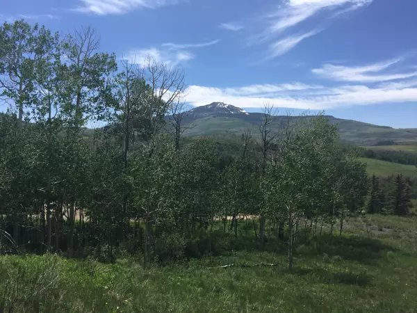 Placerville, CO 81430,TBD Wilson Mesa Ranch CIR