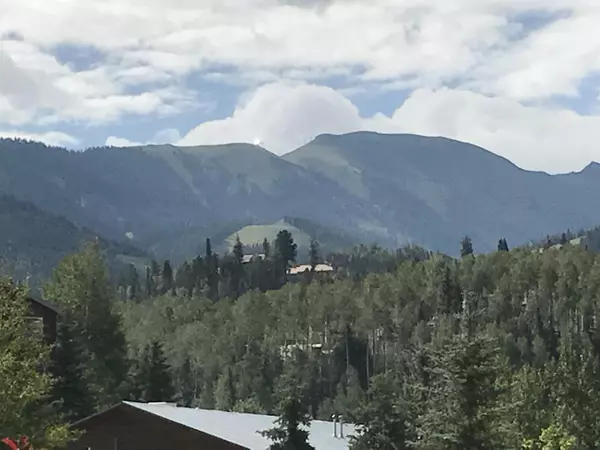 Mountain Village, CO 81435,17 Boulders WAY