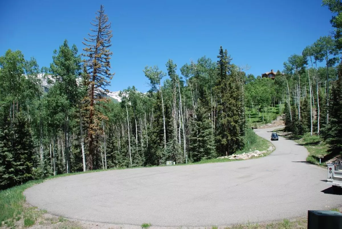 Mountain Village, CO 81435,TBD Adams Way