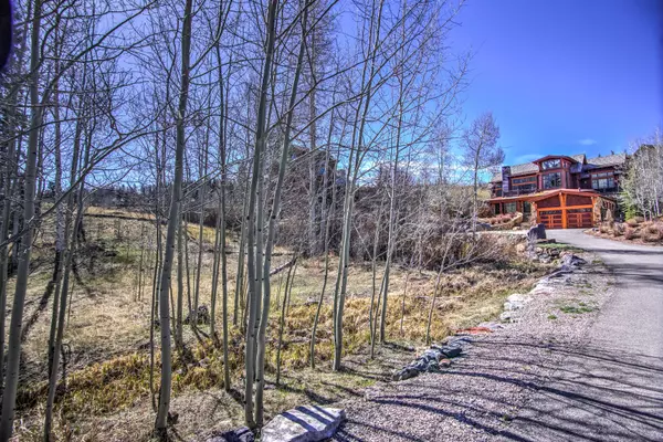 Mountain Village, CO 81435,tbd Lawson