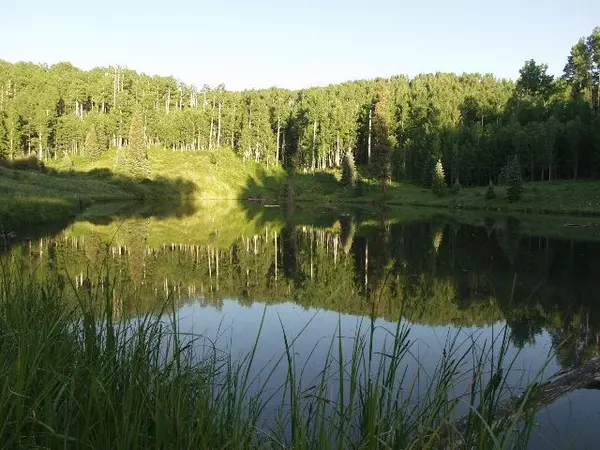 Telluride, CO 81435,Lot 10 The Preserve