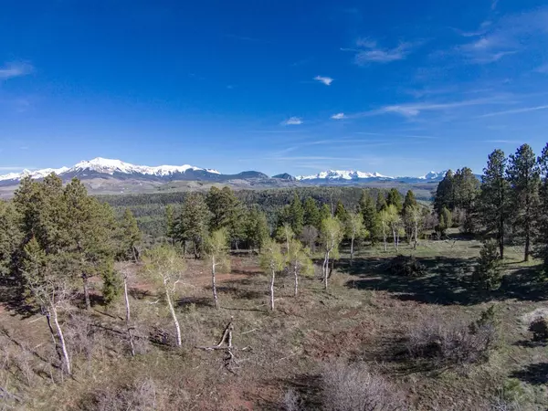 Placerville, CO 81430,Parcel 8 Sage Grouse South