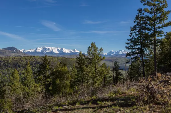 Placerville, CO 81430,Parcel 8 Sage Grouse South