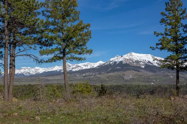 Parcel 8 Sage Grouse South, Placerville, CO 81430