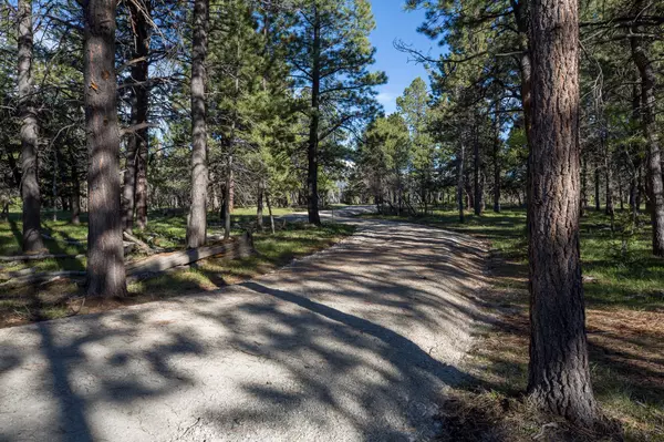 Placerville, CO 81430,Parcel 8 Sage Grouse South