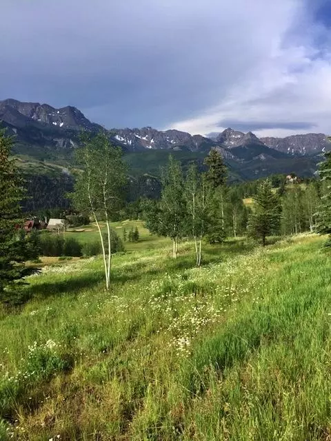 Mountain Village, CO 81435,313 Fairway DR