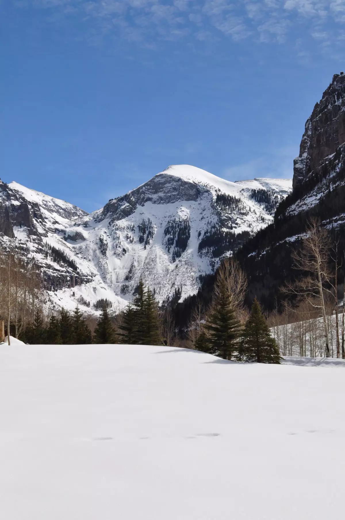 Telluride, CO 81435,TBD Liberty Bell Lane