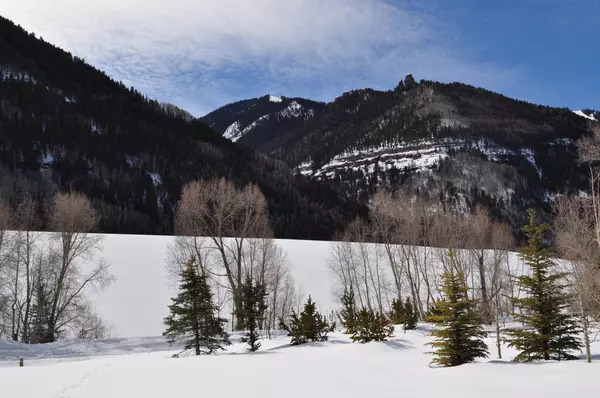 Telluride, CO 81435,TBD Liberty Bell Lane