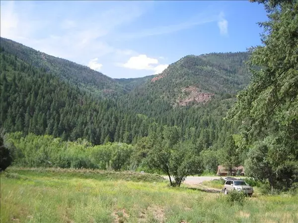 lot 2 old placerville estates, Placerville, CO 81430