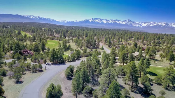 Ridgway, CO 81432,1573 Marmot DR