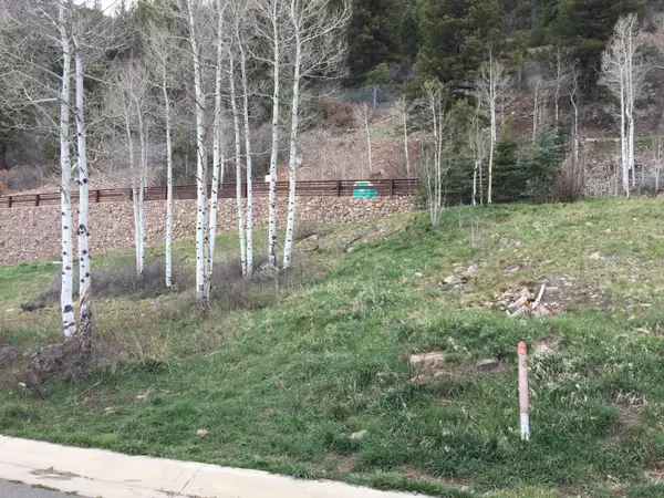 Telluride, CO 81435,TBD S Sunset RIDGE DR