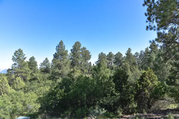 Ridgway, CO 81432,170 Lynx LN