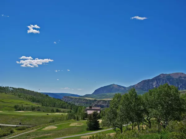 Mountain Village, CO 81435,323 Fairway DR