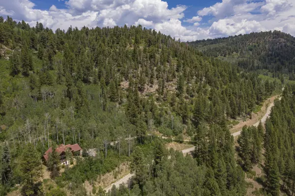 Placerville, CO 81430,295 Sky Mountain Ranch Rd