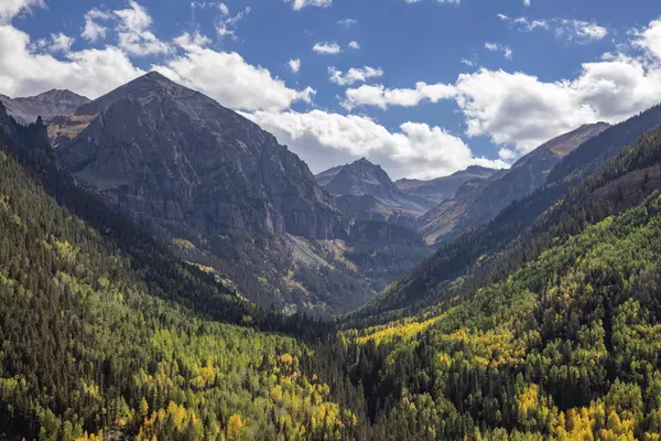 Telluride, CO 81435,Lot 3 Primrose LN