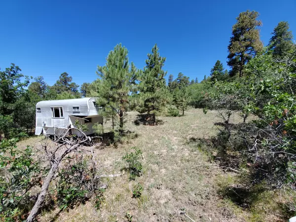 Placerville, CO 81430,TBD Grean Meadows Ln. Lot 126