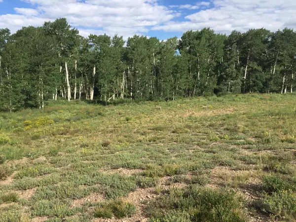 Placerville, CO 81430,Lot 81 San Juan Vista DR