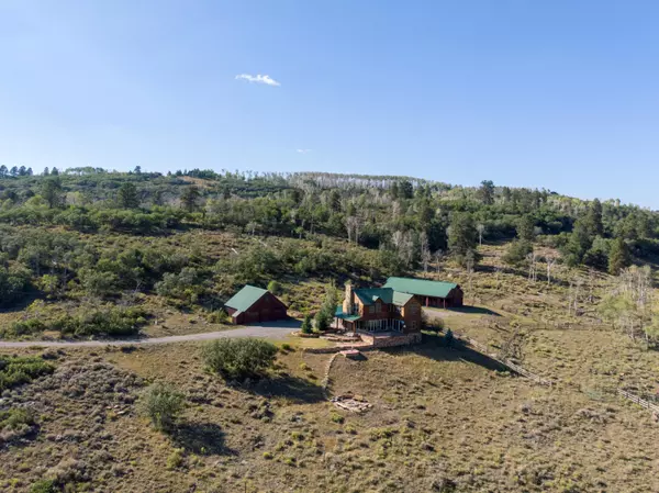 Placerville, CO 81430,2860 Mckenzie Springs RD