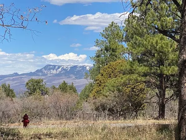 TBD 427 S Badger TRL, Ridgway, CO 81432