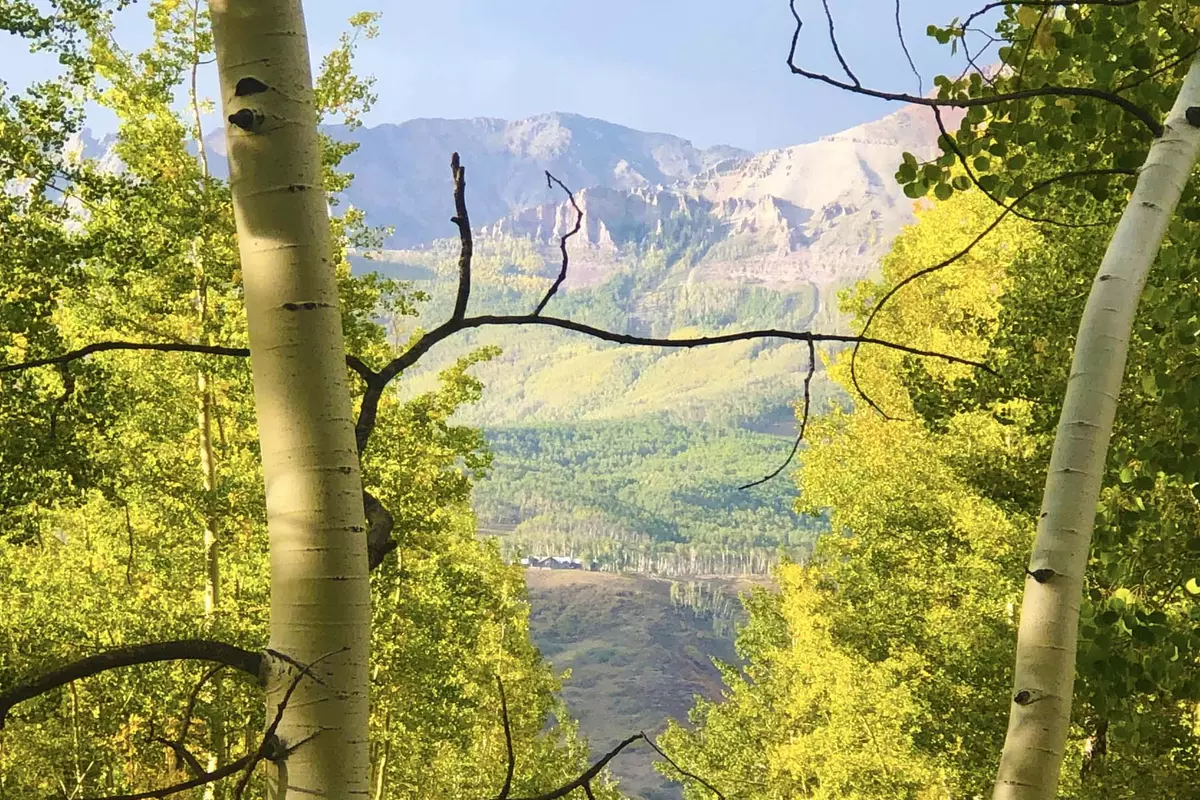 Telluride, CO 81435,TBD Wapiti RD