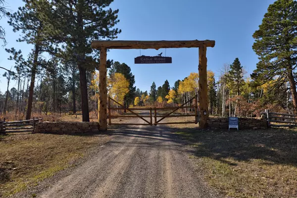 Placerville, CO 81430,Lot 1 Eagles Nest RD