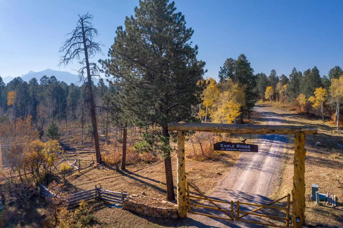 Placerville, CO 81430,Lot 1 Eagles Nest RD