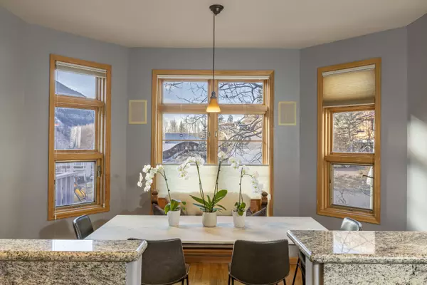 Telluride, CO 81435,970 Primrose LN