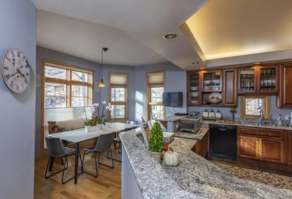 Telluride, CO 81435,970 Primrose LN