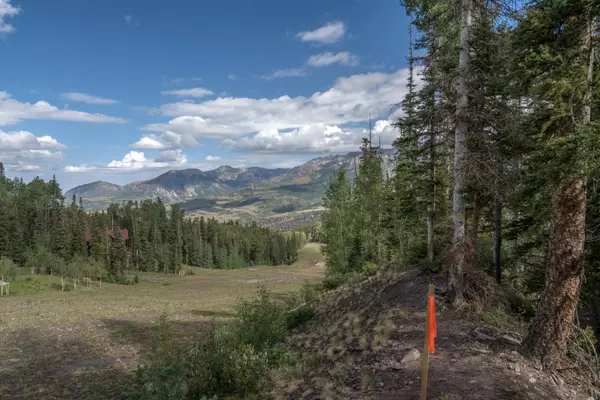 Mountain Village, CO 81435,Lot 10 Stonegate DR