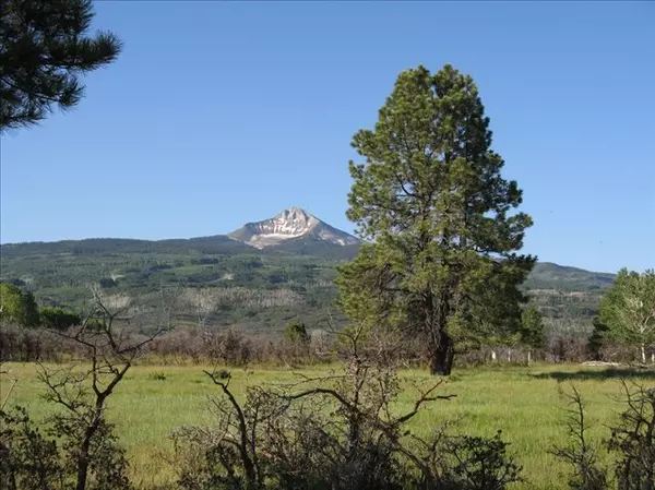 Lot 14 44ZS (Lone Cone) RD, Norwood, CO 81423