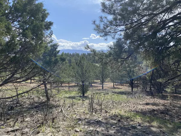 Ridgway, CO 81432,TBD Antler  Lot 251 PL