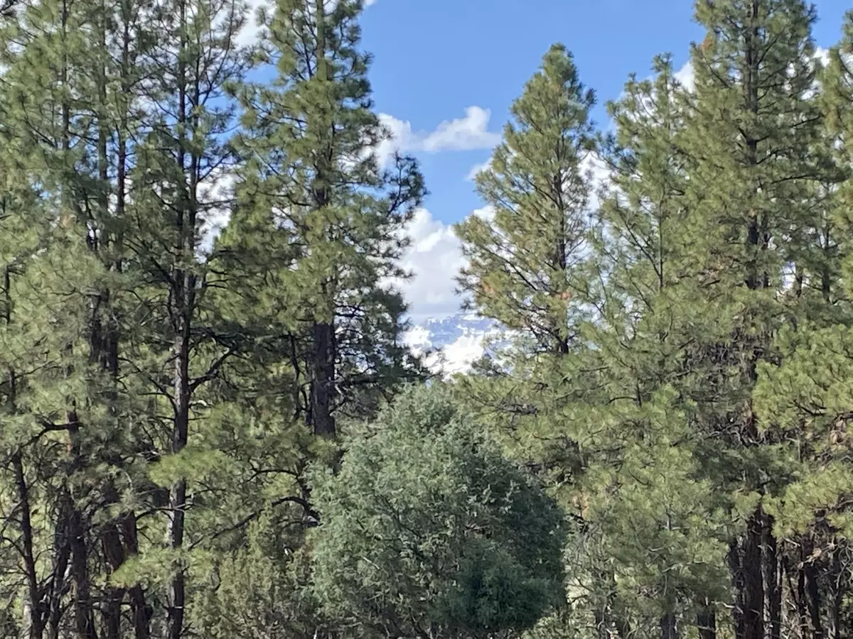 Ridgway, CO 81432,TBD Antler  Lot 251 PL