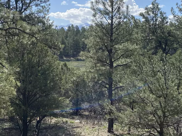 Ridgway, CO 81432,TBD Antler  Lot 251 PL