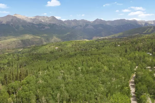 Telluride, CO 81435,TBD Saddle Horn LN