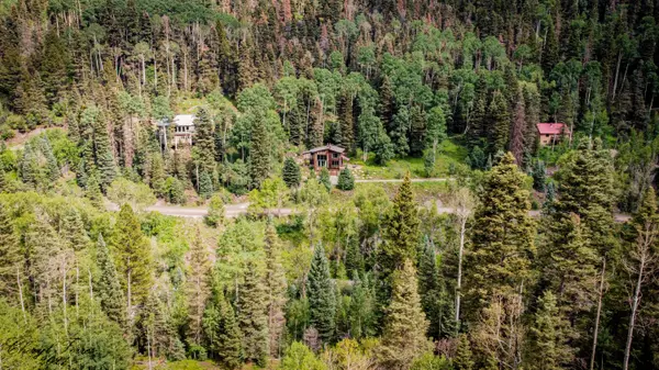 16 Canyon Creek Lane LN, Ouray, CO 81427