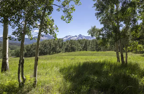 257 Saddle Horn LN, Telluride, CO 81435