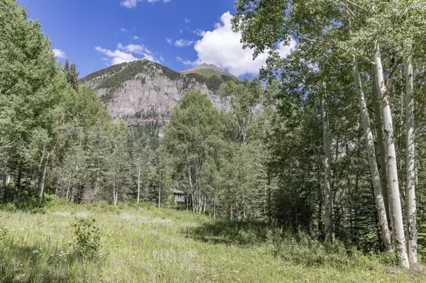 Telluride, CO 81435,TBD Pandora LN