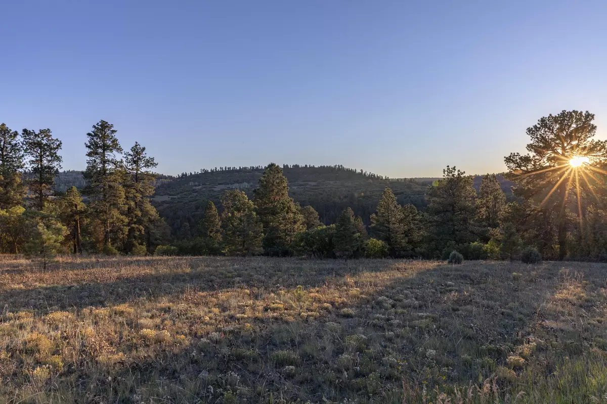 Placerville, CO 81430,TBD GREEN MEADOWS LN