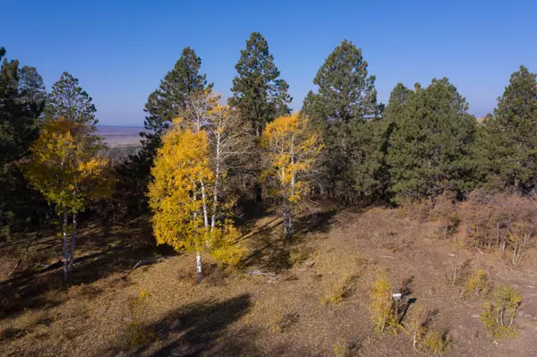 Lot 14 Eagles Nest RD, Placerville, CO 81430