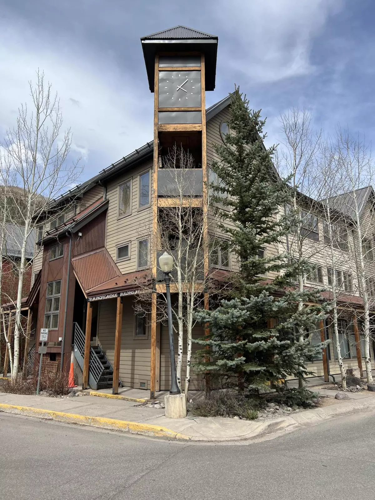 Telluride, CO 81435,280 S Mahoney DR #6I