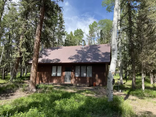 1900 Spruce RD, Cimarron, CO 81220