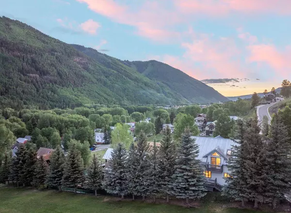 980 Primrose ALY, Telluride, CO 81435