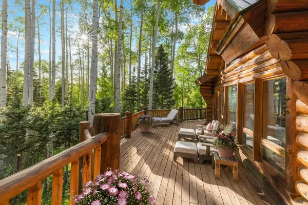 Telluride, CO 81435,872 Saddle Horn LN