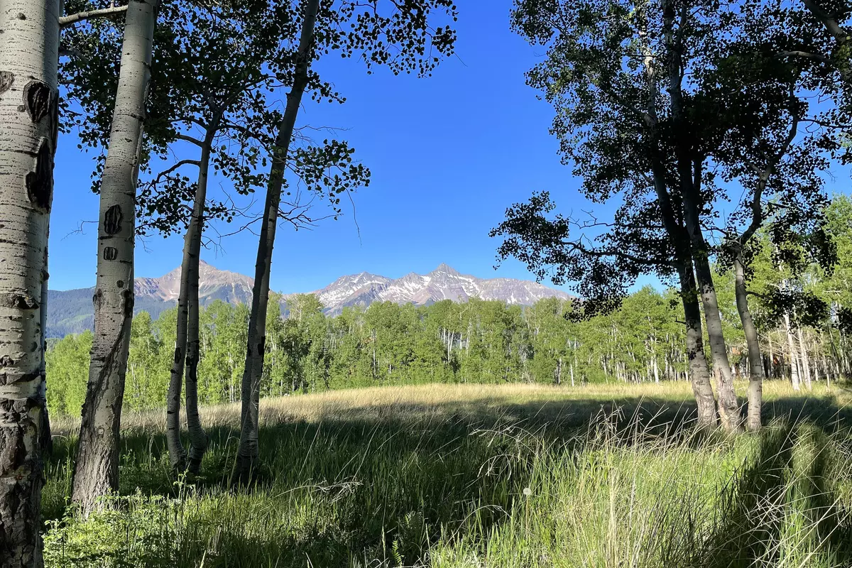 Telluride, CO 81435,257 Saddle Horn LN