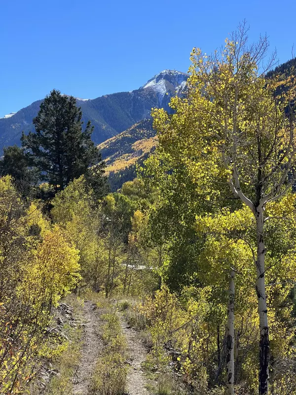 Telluride, CO 81435,tbd N Sunset Ridge DR