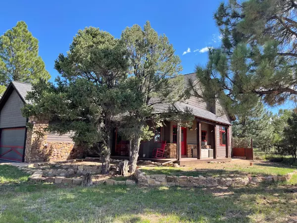 Ridgway, CO 81432,2 Coyote CT